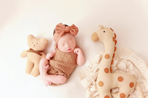 大庆宝宝虾的做法 大庆宝宝虾的做法