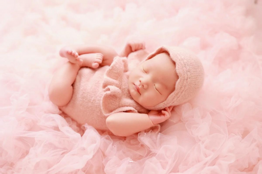 大庆8个月宝宝辅食